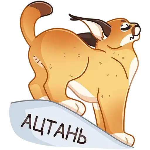 Сеймурр preview