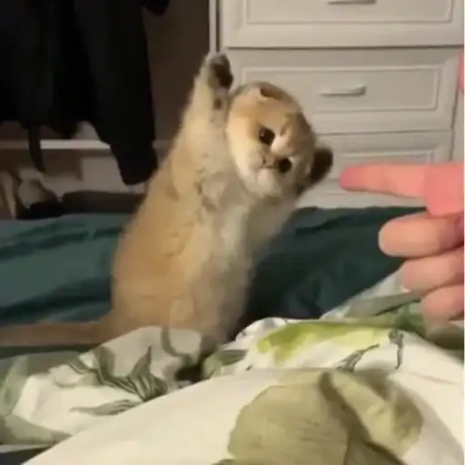 Sticker 🤷‍♀️