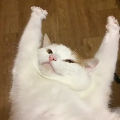 Sticker 🙆‍♂️