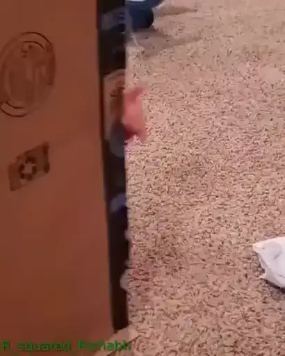 Child Videostickers preview