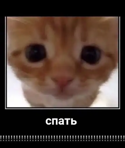 Ебучие животные preview