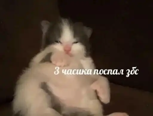 Ебучие животные preview