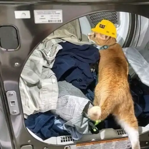 Sticker 👷‍♂️