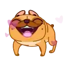 Harry The Frenchie preview