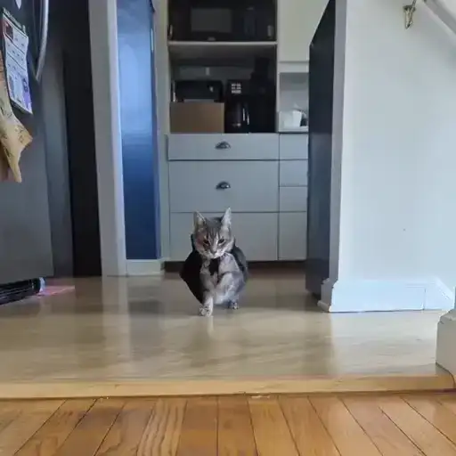 Sticker 🦸‍♂️