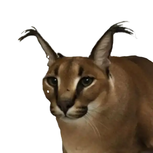 Шлёпанцы preview