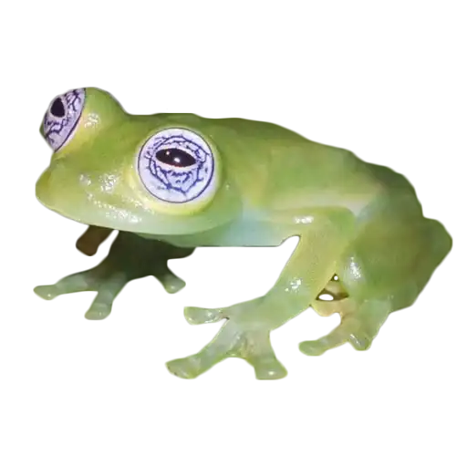 Sticker 🐸