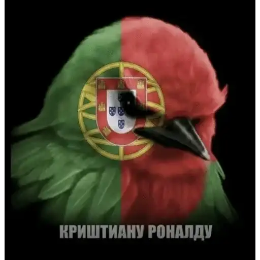 Sticker 🇵🇹