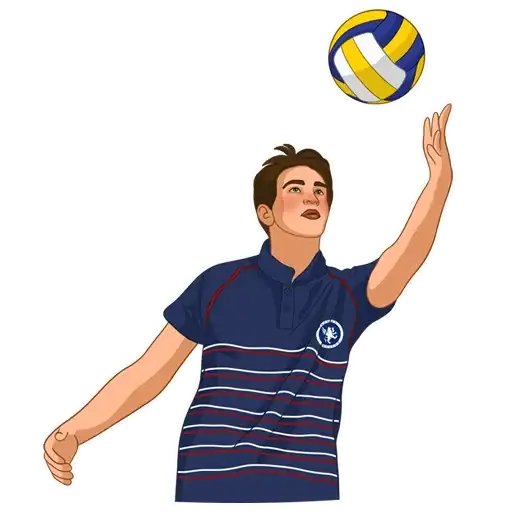 Sticker 🏐