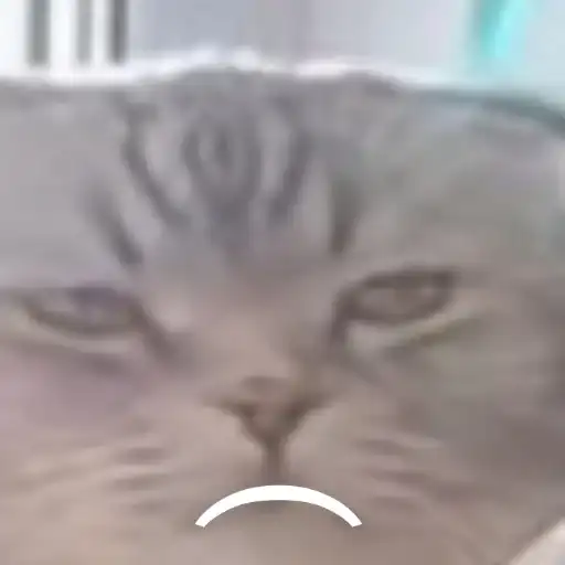 Всякая всячина preview