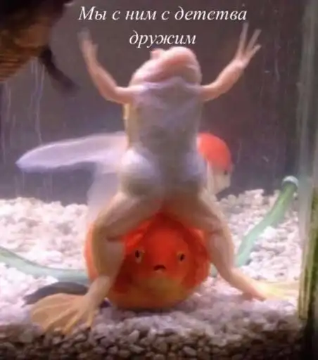 Sticker 👩‍❤️‍💋‍👩