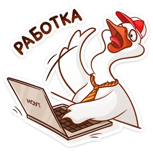 Sticker 💻