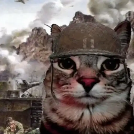 ►Kittens◄→ preview