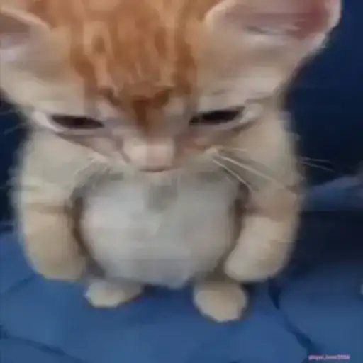 Sticker 🧍‍♂️