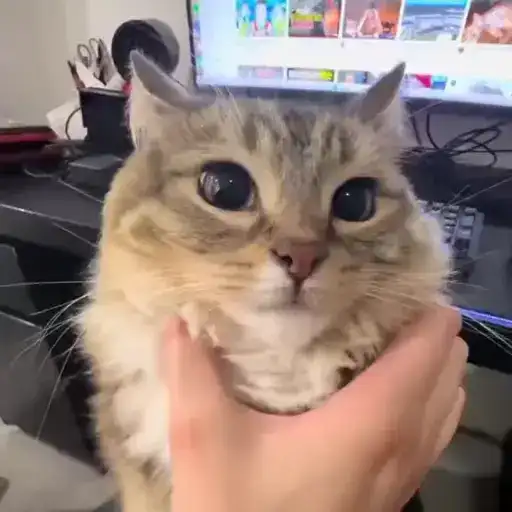 Sticker 🤵‍♂️