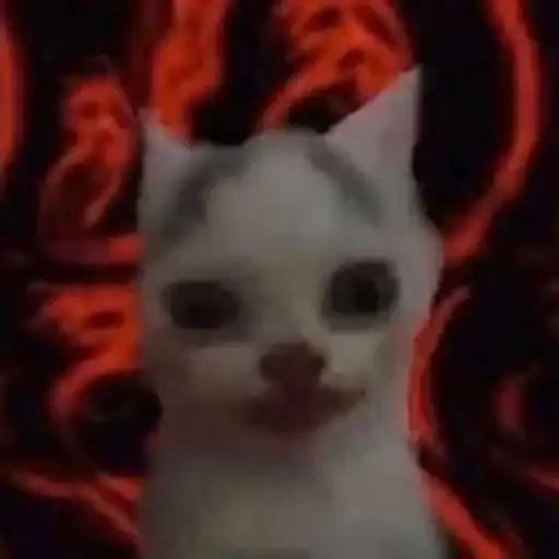 Sticker 🐈‍⬛️