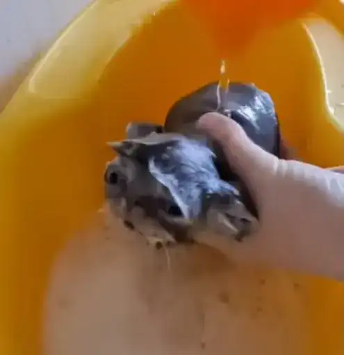 Sticker 🧖‍♀️