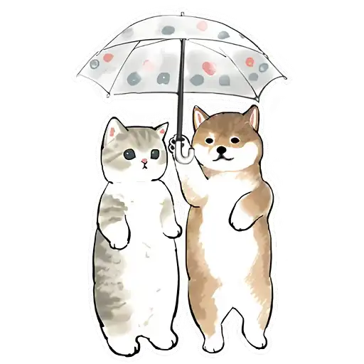 Шиба и Нян котик preview