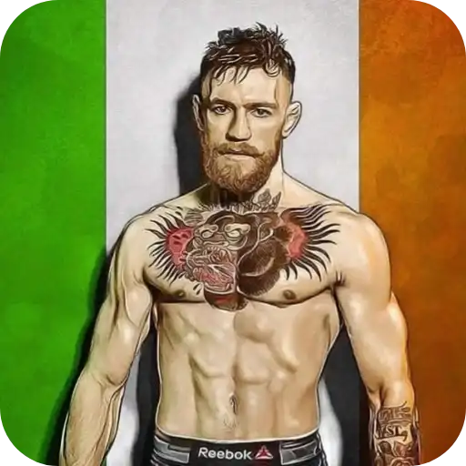 Sticker 🇮🇪