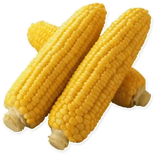 Sticker 🌽