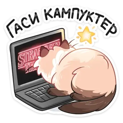 Sticker 💻