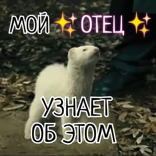 Sticker 🐻‍❄️