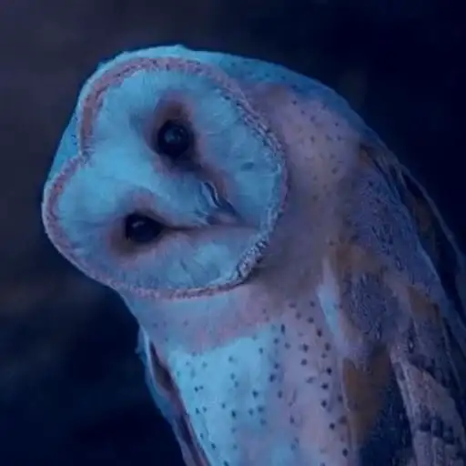 Sticker 👁️‍🗨️