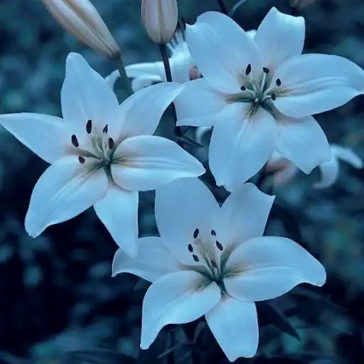 Sticker 👁️‍🗨️