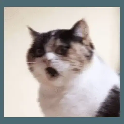 Sticker 🐱